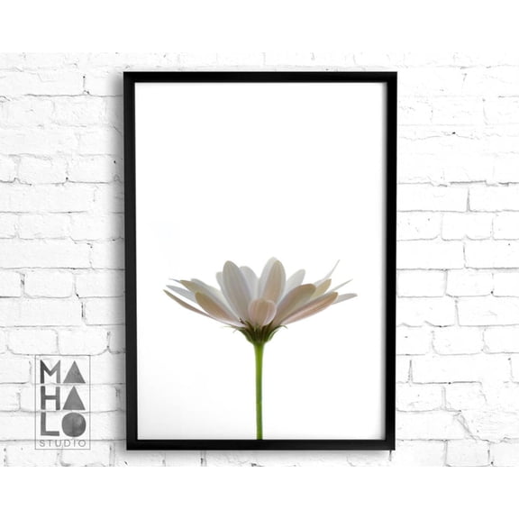 White Daisy Print, Minimalist White Flower Art Photograph Wall Art, Cottagecore Flower Print, Floral Decor Botanical Gallery Wall Home Decor #4055, Unframed Poster Size 24x36