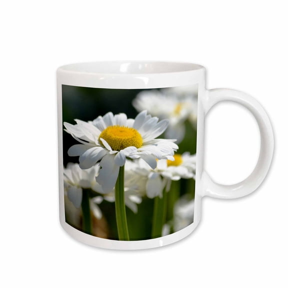 3drose, White Daisy - Spring Gardens - Flowers - Floral Print, 15oz Mug