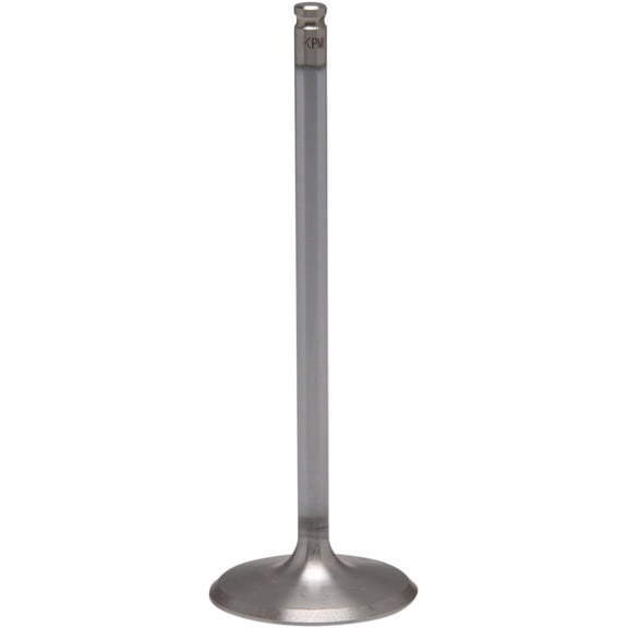 White Diamond Stainless Standard Intake Valve