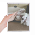 thumbnail image 1 of White Dog Pet Animal Cute Photo Notebook Loose Diary Refillable Journal Stationery, 1 of 4