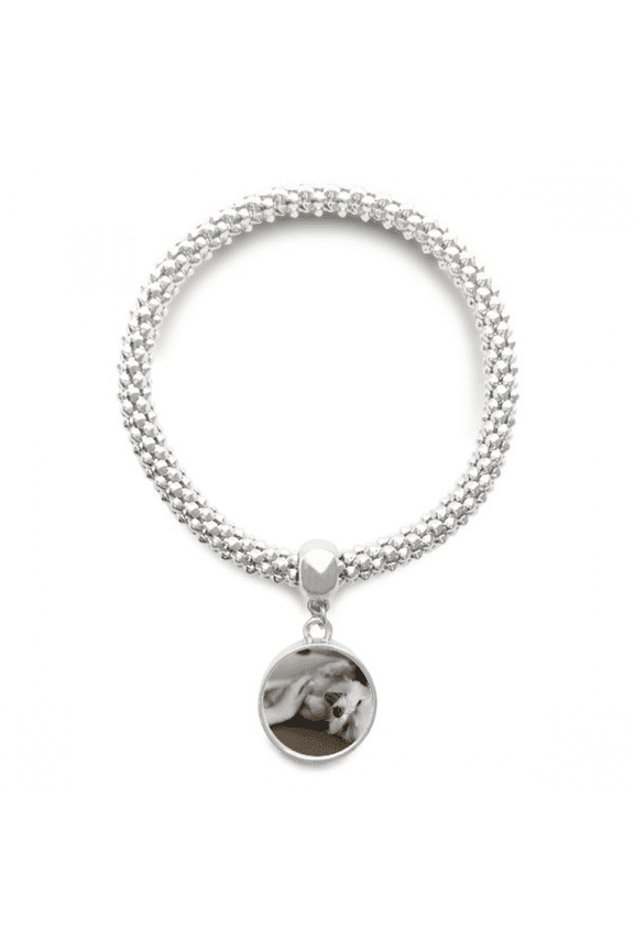 White Dog Pet Animal Cute Photo Sliver Bracelet Pendant Jewelry Chain Adjustable Bangle