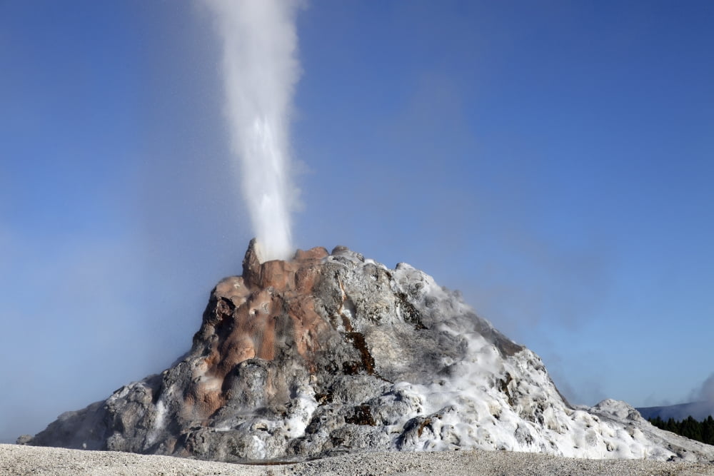 White Dome Geyser erupting Upper Geyser Basin geothermal area Yellowstone National Park Canvas Art - Richard RoscoeStocktrek Images (18 x 12)