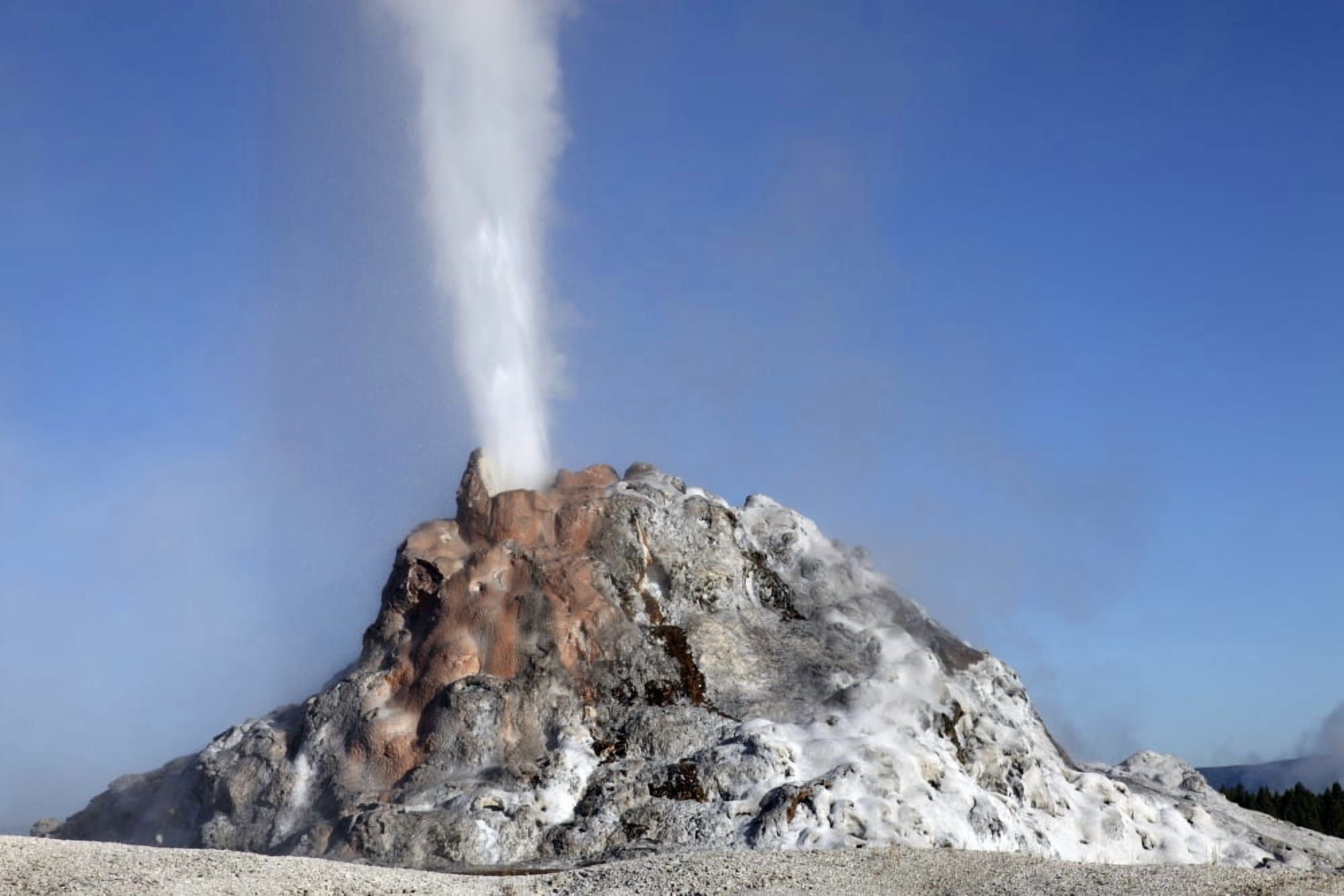 White Dome Geyser erupting Upper Geyser Basin geothermal area Yellowstone National Park Canvas Art - Richard RoscoeStocktrek Images (35 x 23)