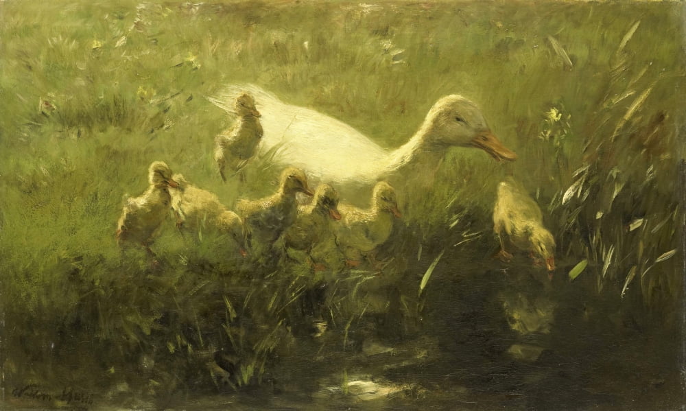 White Duck With Her Seven Chicks Canvas Art - (24 x 18)