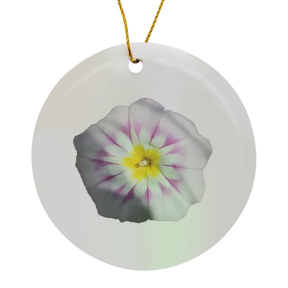 3drose, White Dwarf Morning Glory Convolvolus Tricolor Vector, Circle Porcelain Ornament