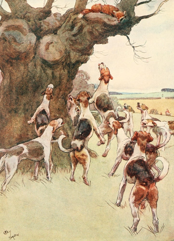 White Ear & Peter 1912 Fox hideout Canvas Art - Cecil Aldin (18 x 24)