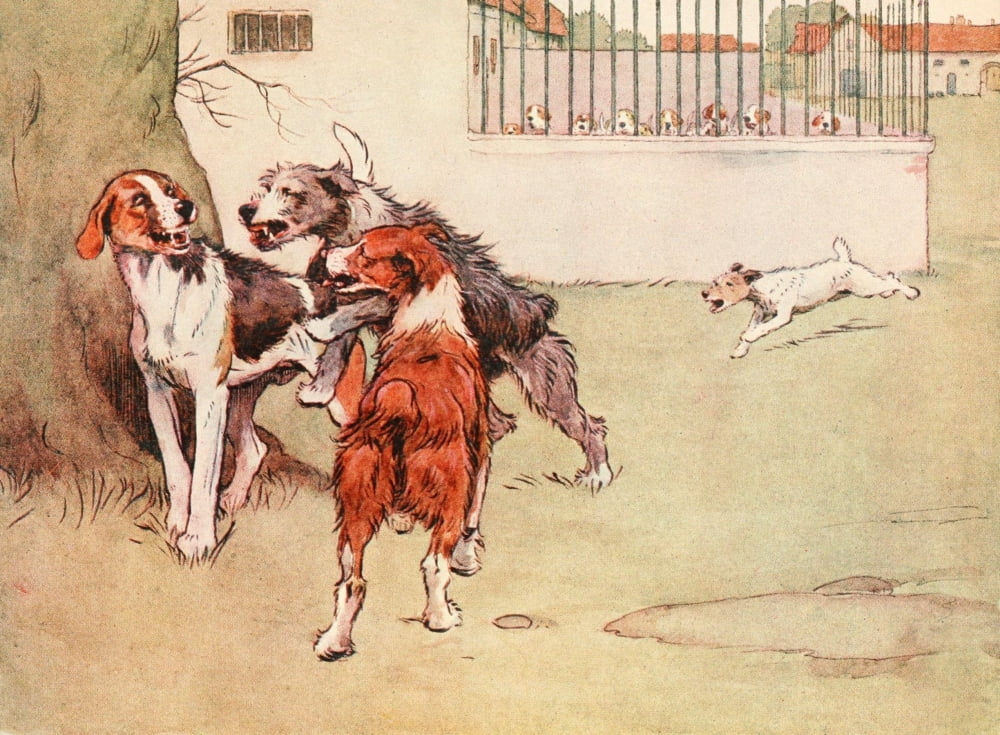 White Ear & Peter 1912 Getting excited Canvas Art - Cecil Aldin (18 x 24)