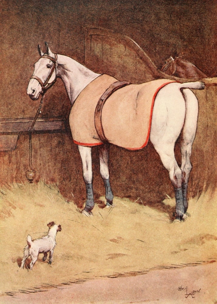 White Ear & Peter 1912 My friend the horse Canvas Art - Cecil Aldin (18 x 24)