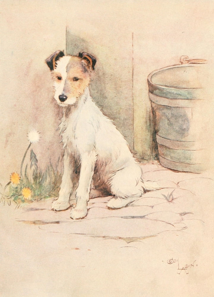 White Ear & Peter 1912 Peter the Terrier Canvas Art - Cecil Aldin (18 x 24)