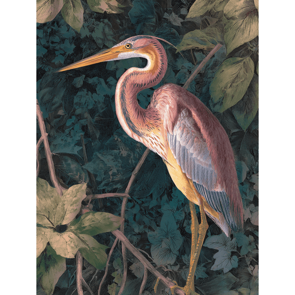White Egret Canvas Print, Wall Art for Living Room, Office, Hotel, Hallway, Bathroom