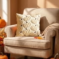 thumbnail image 1 of White Embroidered Pumpkin Pillowcase, Soft Chenille Square Cover, 17x17 Inch for Neutral Fall Home Decor, 1 of 7