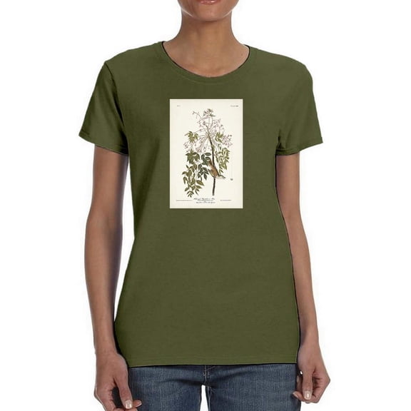 White-Eyed Flycatcher T-Shirt Women -John James Audubon Designs, Female Medium