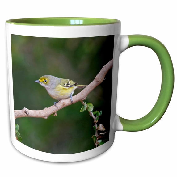 3drose, White-eyed Vireo Bird (vireo Griseus) Perched in Bush - Us44 Ldi0505 - Larry Ditto, 15oz Two-tone Green Mug