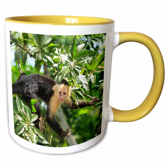 3drose, White-faced Capuchin Monkey. Roatan, Bay Islands, Honduras, 11oz Two-tone Yellow Mug
