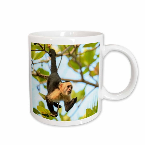 3drose, White-faced Capuchin Monkey. Roatan, Bay Islands, Honduras., 15oz Mug