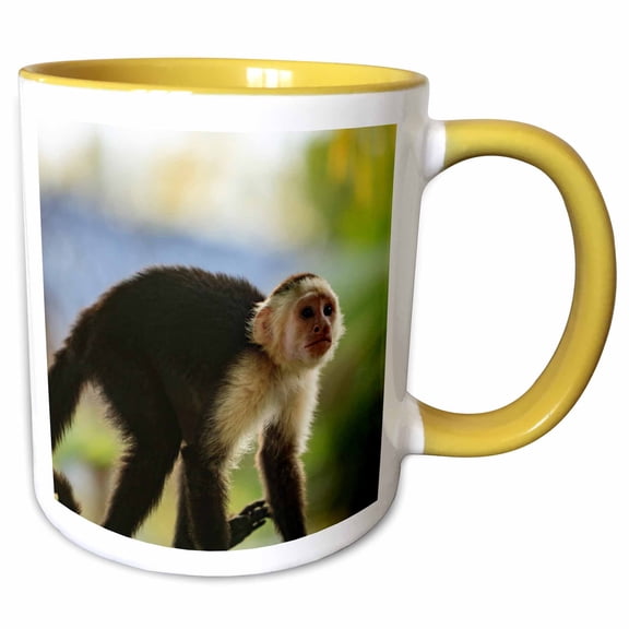3drose, White-faced Capuchin Monkey. Roatan, Bay Islands, Honduras., 15oz Two-tone Yellow Mug