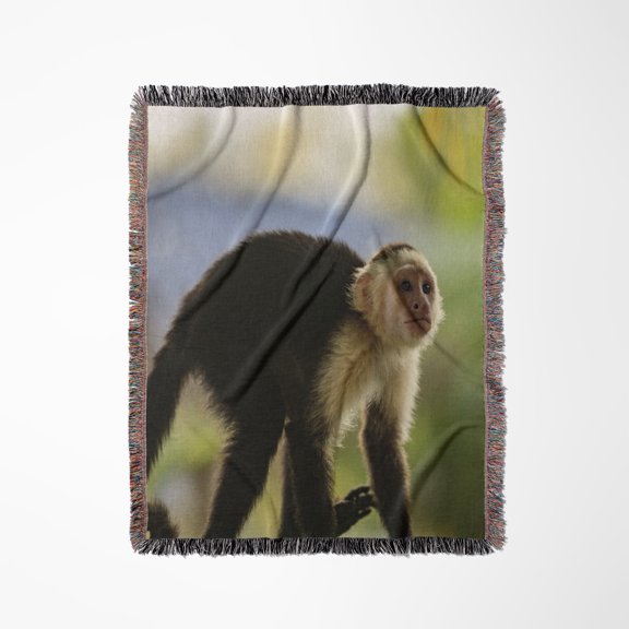 White-Faced Capuchin Monkey. Roatan, Bay Islands, Honduras., Woven Blanket
