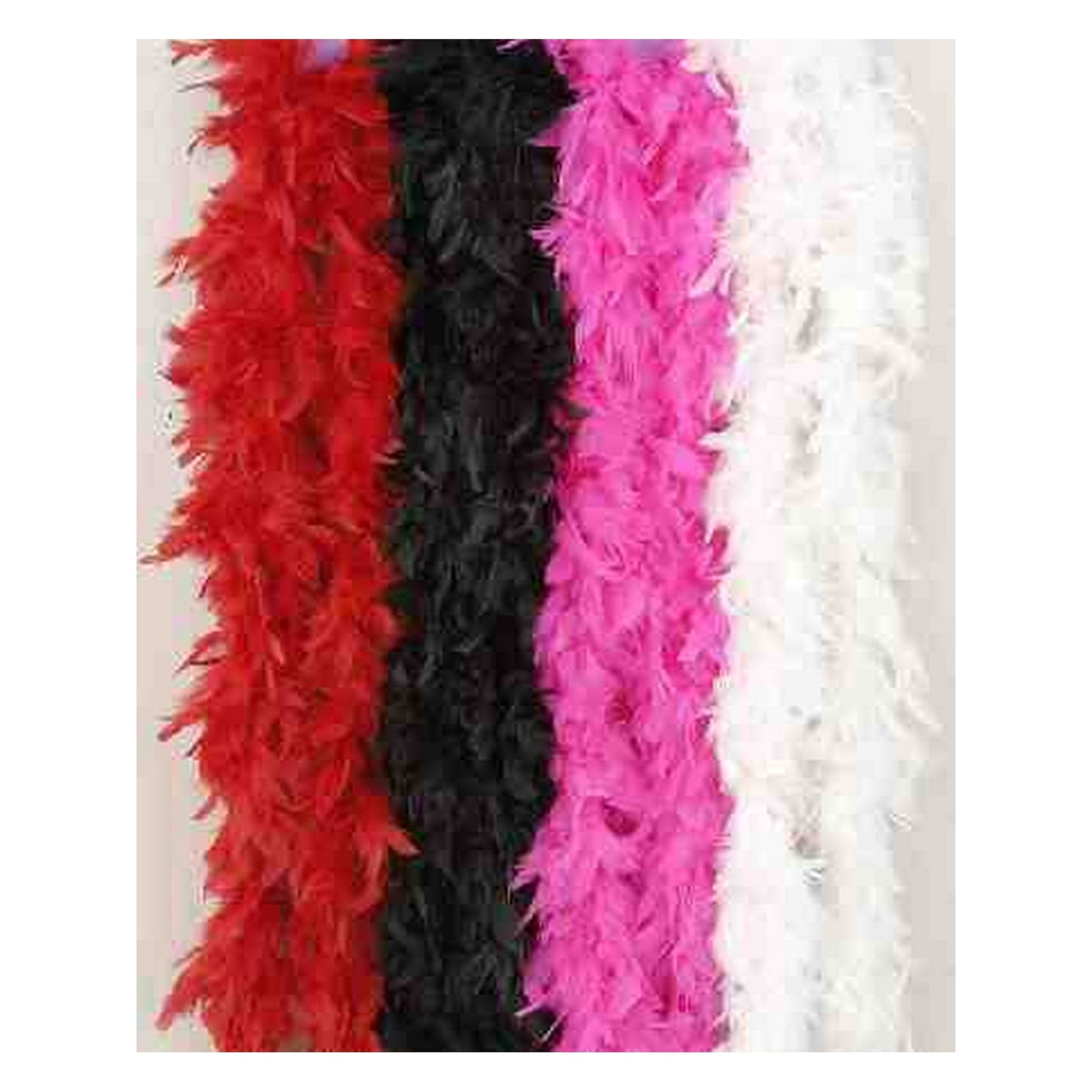 Halloweencostumes.com Women Women's White 80 Gram Feather Boa, White :  Target