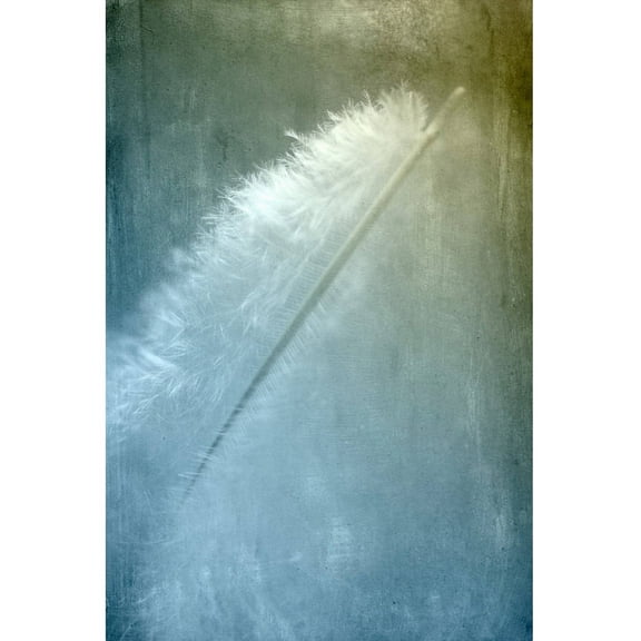 "White Feather" Painting Print on Wrapped Canvas