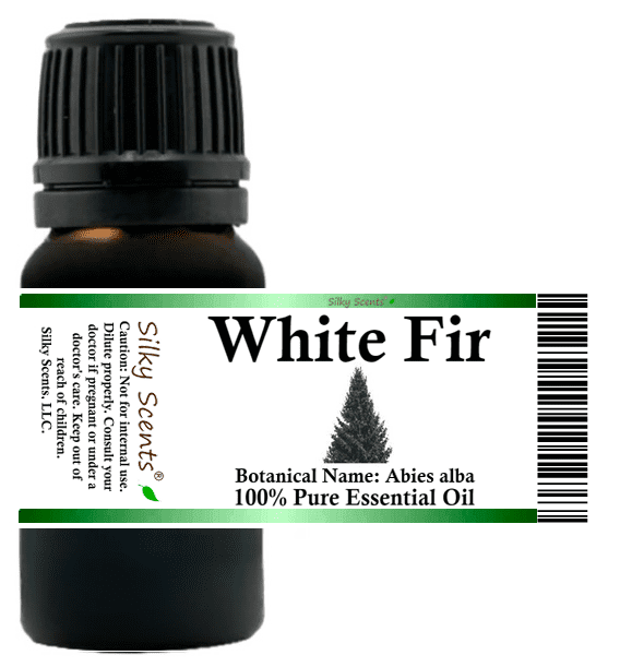 White Fir (Silver) Essential Oil - 100% Pure and Natural by Silky Scents
