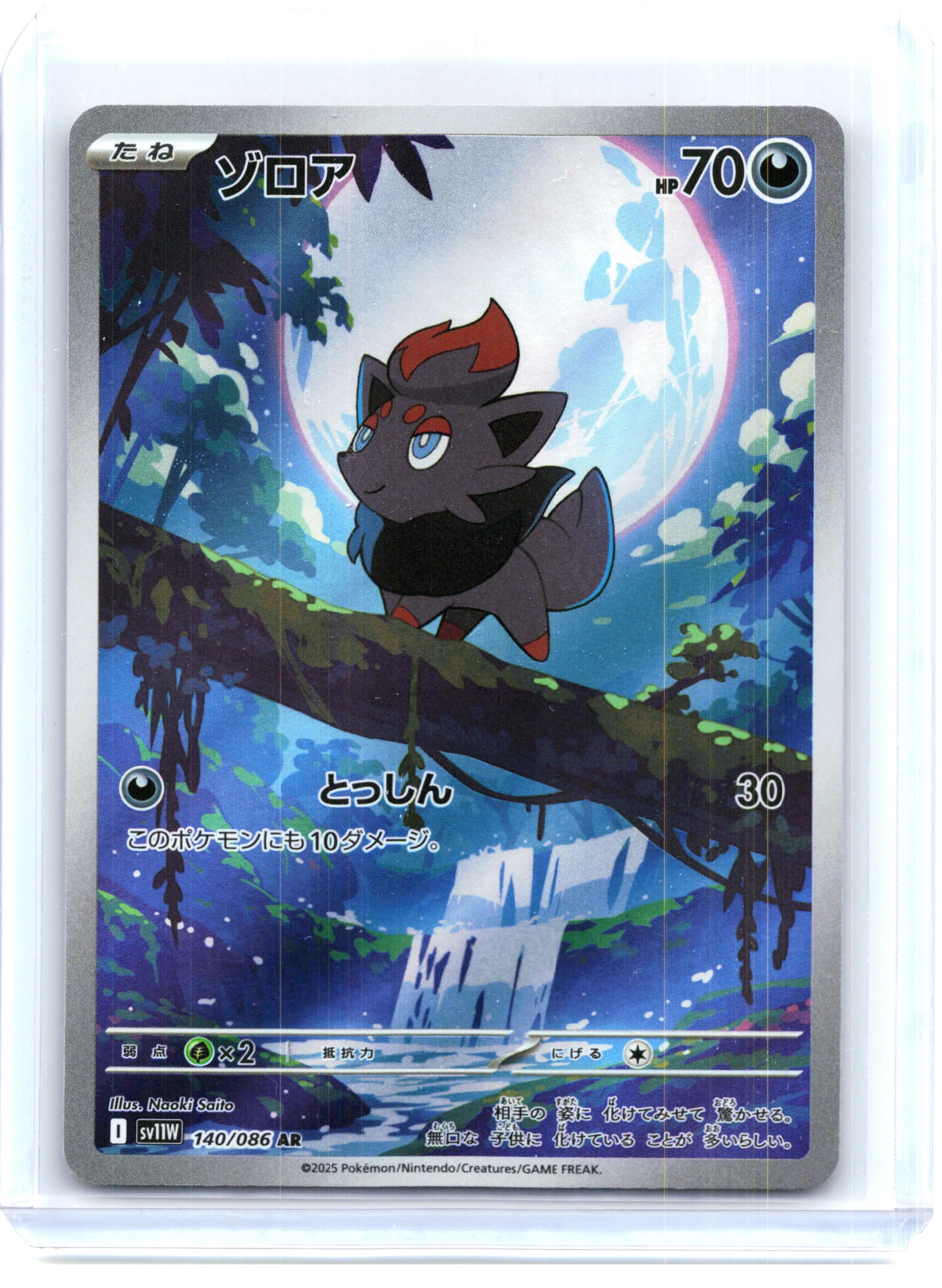 chinchou pokemon card Chinchou (70/147) [Aquapolis]