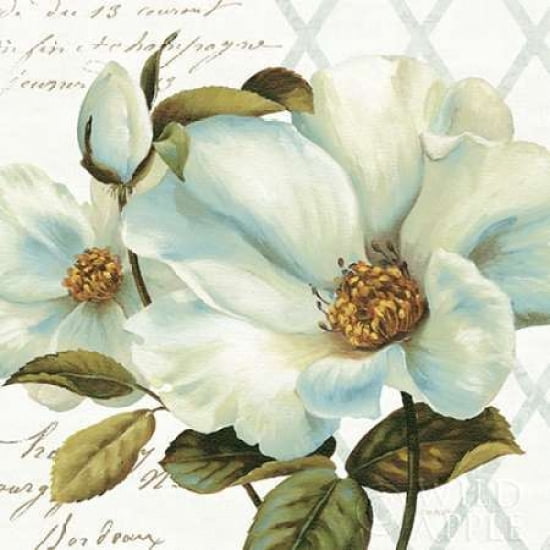 White Floral Bliss II Canvas Art - Lisa Audit (24 x 24)