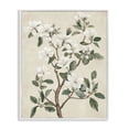 thumbnail image 1 of Stupell Industries White Floral Blossom Tree White Framed Giclee Art, design by Petal Prints Design, 1 of 8