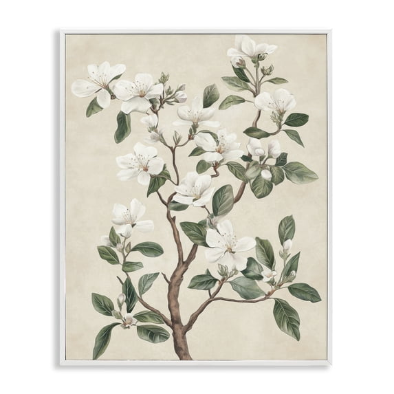 Stupell Industries White Floral Blossom Tree White Framed Giclee Art, design by Petal Prints Design