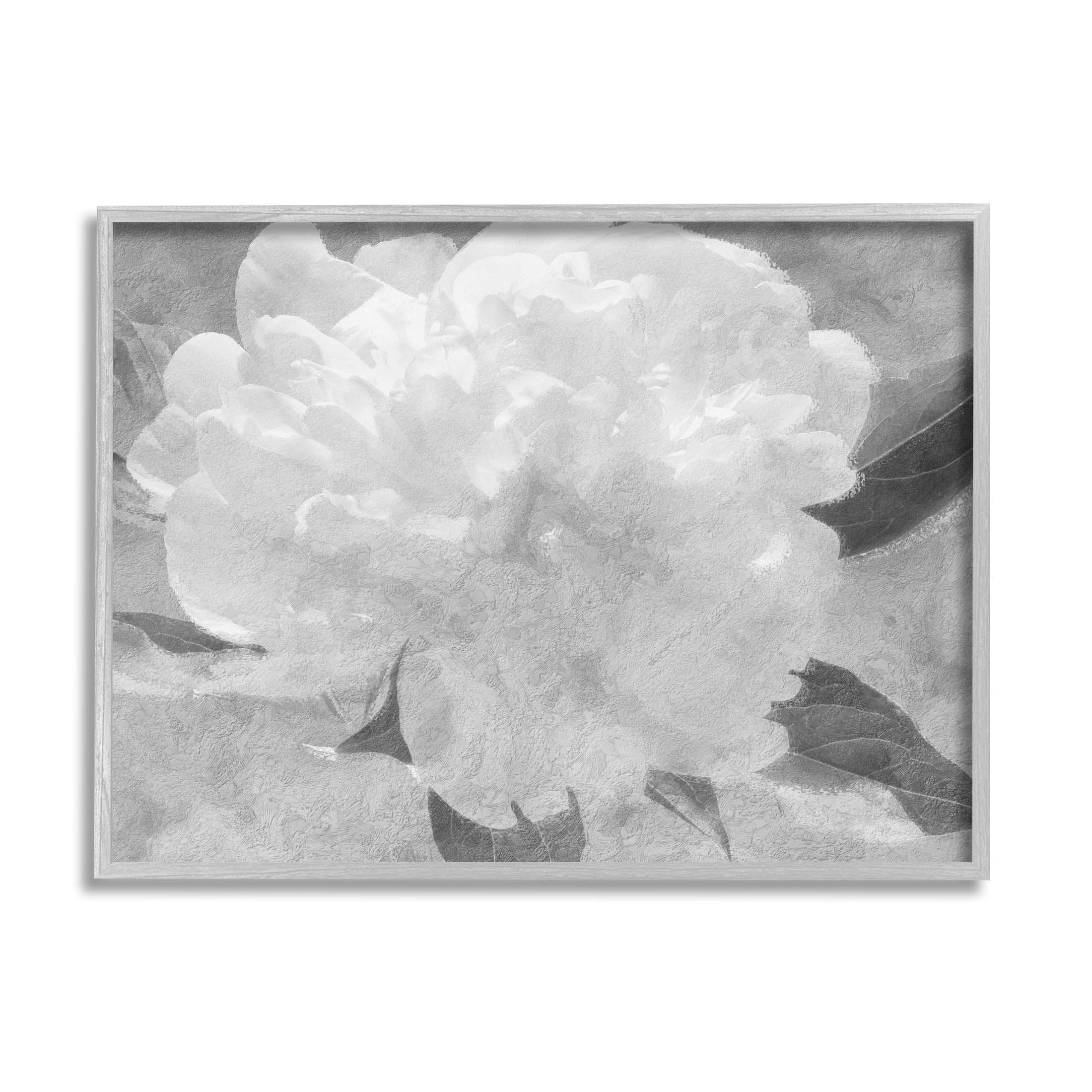 White Flower Blossom Monochrome Botanical & Floral Graphic Art Gray Framed Art Print Wall Art