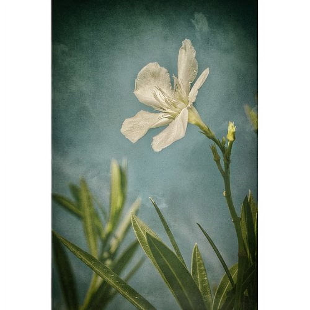 "White Flower Left" Painting Print on Wrapped Canvas