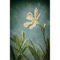 thumbnail image 1 of "White Flower Left" Painting Print on Wrapped Canvas, 1 of 7