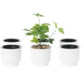 thumbnail image 1 of White Flower Pot Self Watering Planter, 6 Pack, 1 of 7