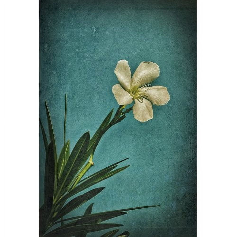 "White Flower Right" Painting Print on Wrapped Canvas