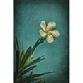 thumbnail image 1 of "White Flower Right" Painting Print on Wrapped Canvas, 1 of 7