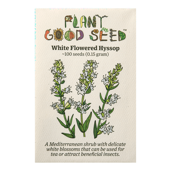 White Flowered Hyssop Seeds