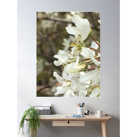 White Flowers, Bathroom Decor Poster Wall Art, Modern Wall Decor For Living Room Bedroom, 12x18 UNFRAMED