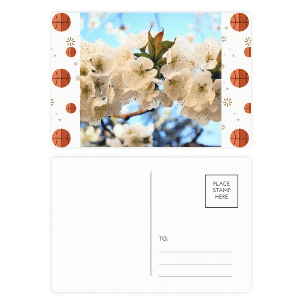 White Flowers Beautiful Rose Basketball Postcard Set Thanks Card Mailing Side 20pcs