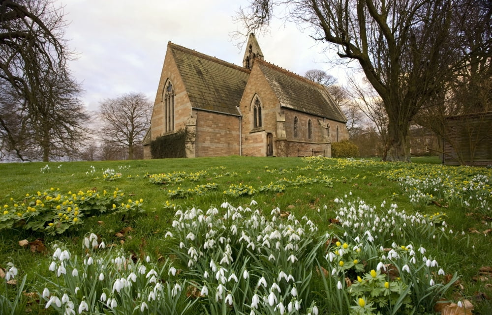 White Flowers With A Small Church In Background NorthumberlandEngland Canvas Art - John Short Design Pics (19 x 12)