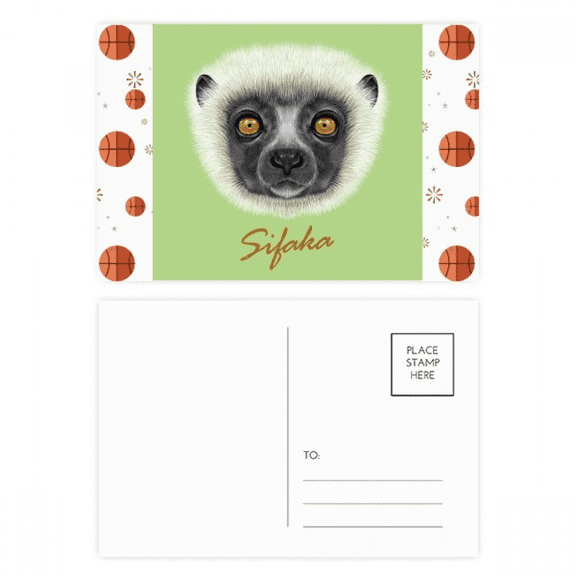 White Fluffy Sifaka Monkey Animal Basketball Postcard Set Thanks Card Mailing Side 20pcs