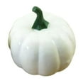 thumbnail image 1 of White Foam Artificial Pumpkins - Fall Halloween Thanksgiving Decor, Diy Crafts Centerpiece for Home Garden Fireplace Festive Accent, 1 of 8