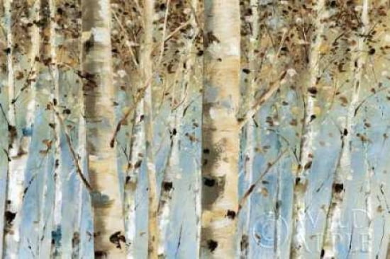 White Forest Canvas Art - Lisa Audit (24 x 36)