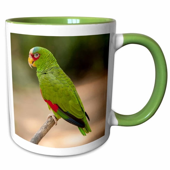 3drose, White Fronted Amazon Parrot, Honduras - Sa12 Len0003 - Lisa S. Engelbrecht, 11oz Two-tone Green Mug
