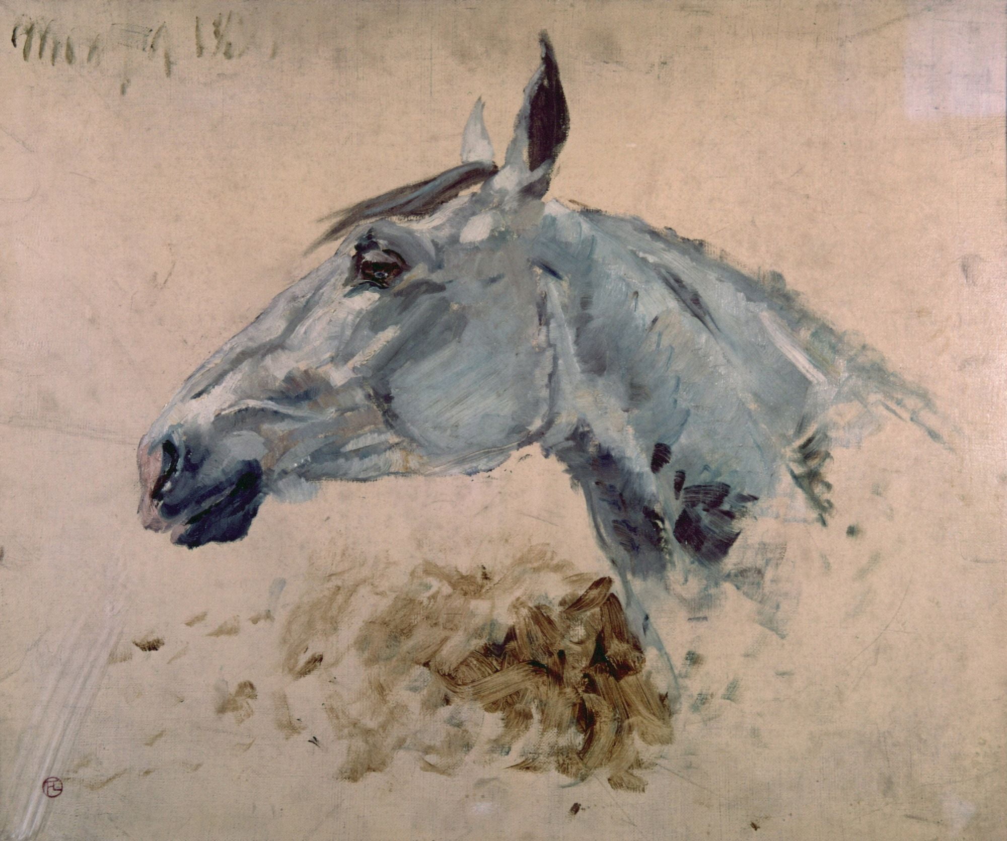 White Gazelle Horse (Cheval Blanc Gazelle) Canvas Art -  (36 x 24)