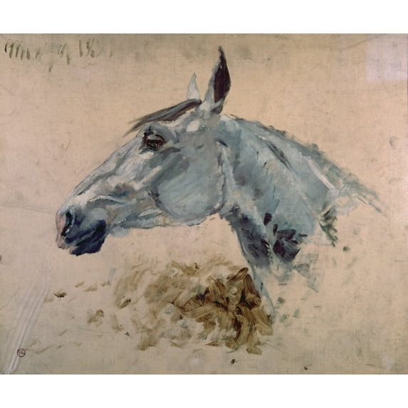 White 'Gazelle' Horse (Cheval Blanc Gazelle) Poster Print (36 x 24)