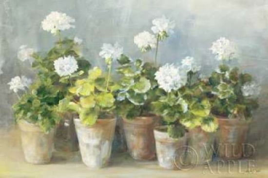 White Geraniums Canvas Art - Danhui Nai (12 x 18)