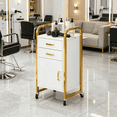thumbnail image 1 of White and Gold Salon Rolling Cart with Wheels, Mobile Beauty Trolley with 2 Drawers, Salon Station with Storage Cabinet for Hair Stylist, Rolling Beauty Station for Barbershop, Spa & Tattoo, 1 of 7