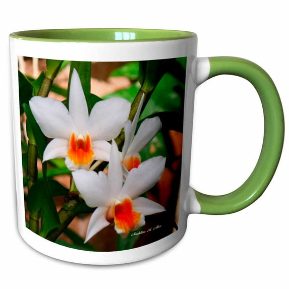 3drose, White Grace Orchids - Photography Flowers, 15oz Two-tone Green Mug