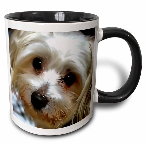 White Haired Street Dog Portrait 11oz Two-Tone Black Mug mug-302525-4