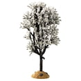 thumbnail image 1 of White Hawthorn Tree - 5 Inch, 1 of 1