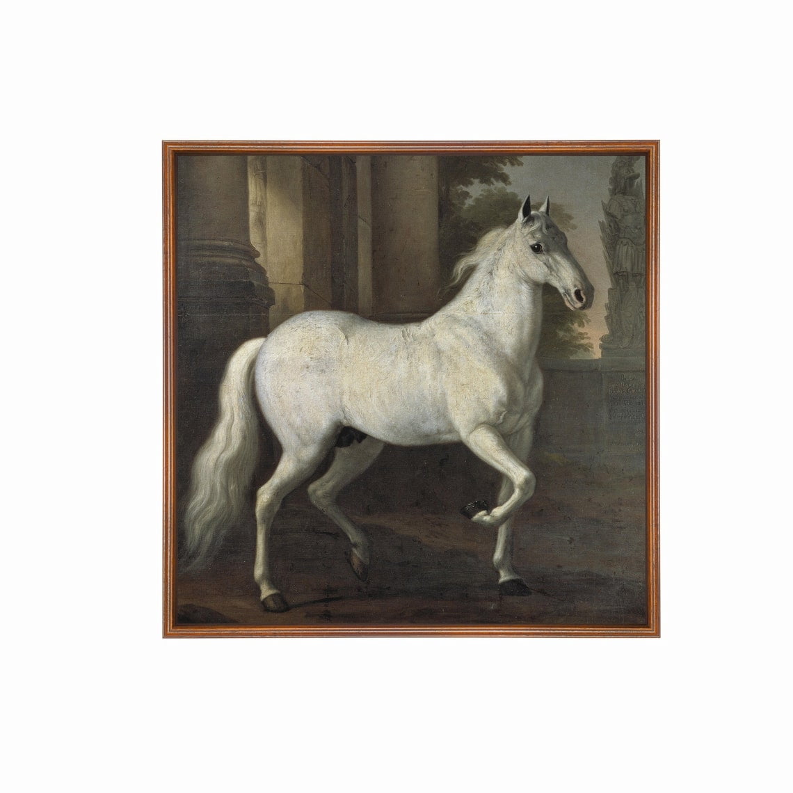 White Horse 18Th Century Equestrian Art Poster Home Decor, 8x12 ...